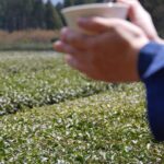 滋賀県の茶園の茶会の様子