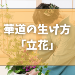 華道・生け花の生け方「立花」