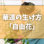 華道・生け花の基本的な生け方「自由花」