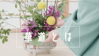 華道（生け花）とは？歴史や基本、生け花との違い、京都華道体験スポットを紹介 | みんなの日本茶サロン